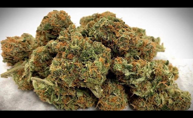 Strain Feature: 🍑 Fuzz - Feel the buzz of the Peach Fuzz! This frosty sativa provides a functional, cerebral high with a burst of peach flavor.
#peachfuzz #sativa #strainfeature #jahnetics #jahneticsdelivery