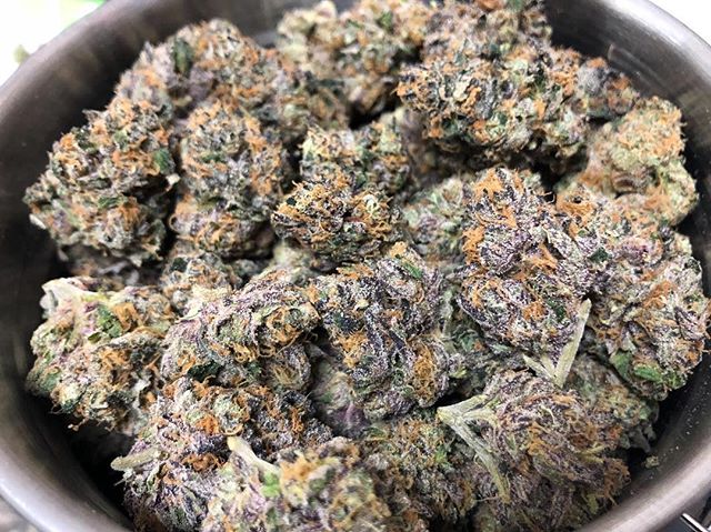 You've made it to Wednesday, why not treat yourself to some Sherbert 🍨.
---
#sherbert #sherbet #jahnetics #jahneticsdelivery #cannabisdelivery #weeddelivery #sanfrancisco