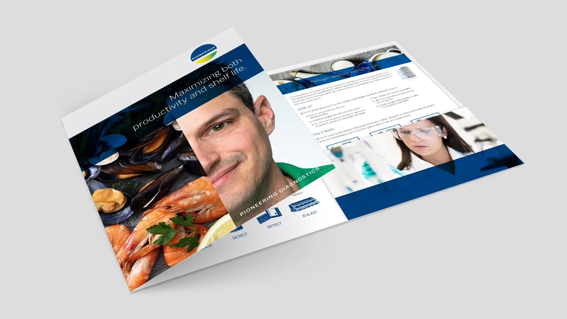 bmx-trifold-brochure.jpg