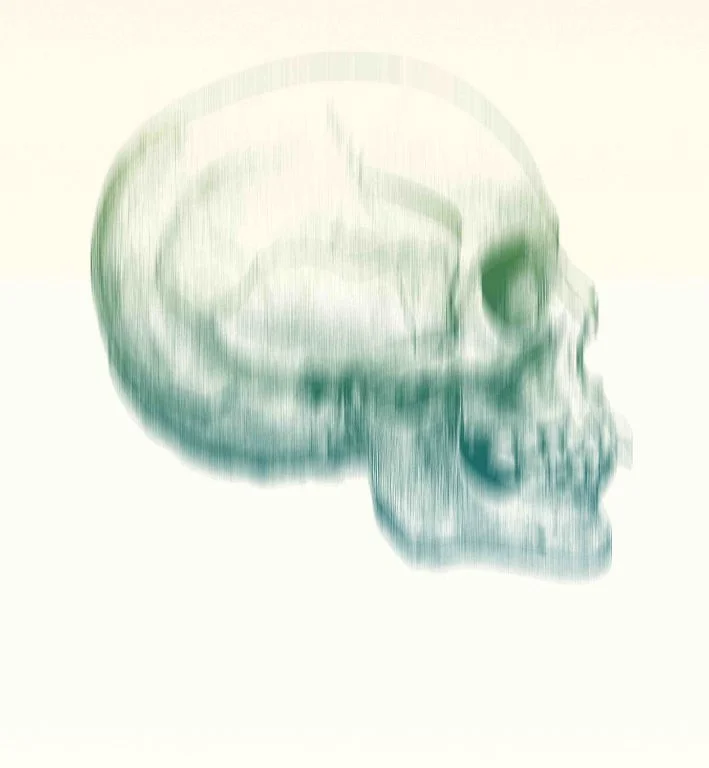 Skull 2aaa copy.jpg