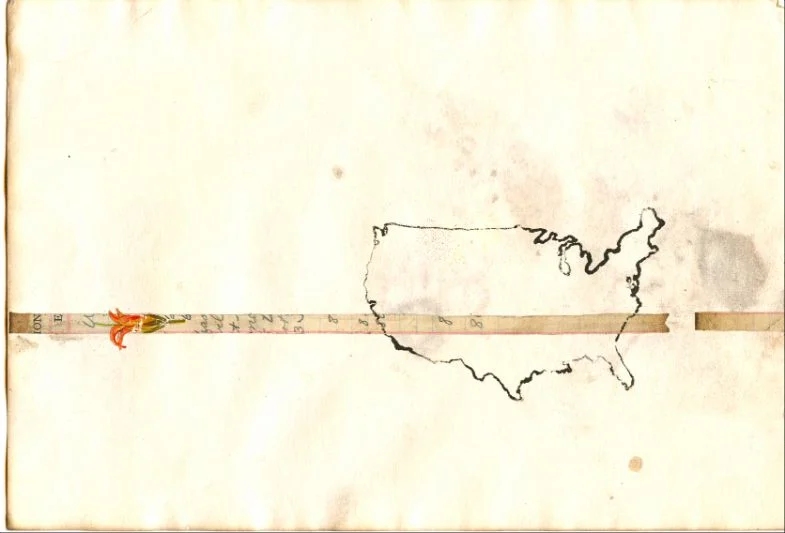 geographic.jpg