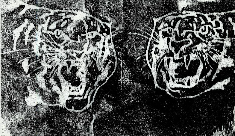 tiger1.jpg