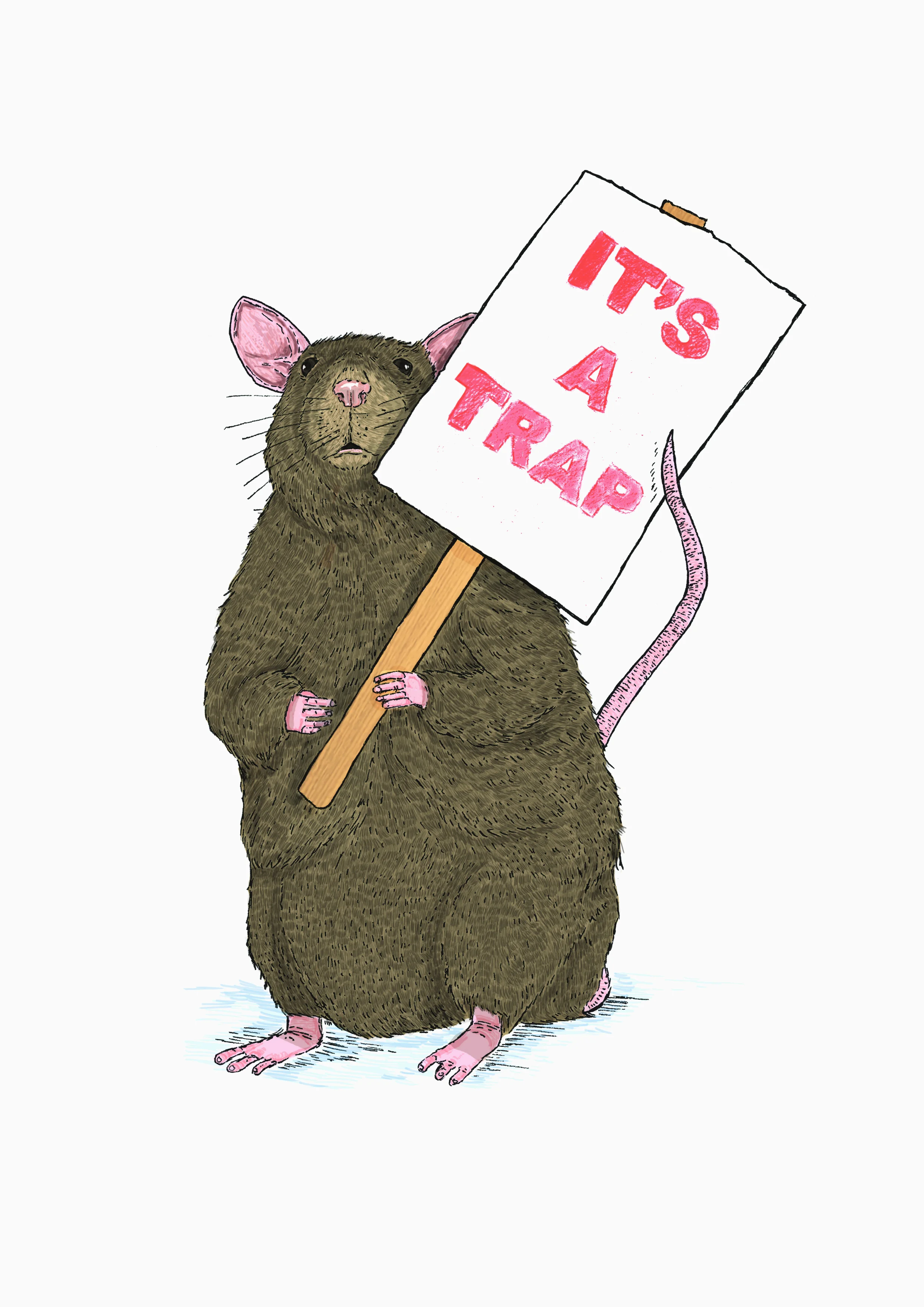 rat2.jpg