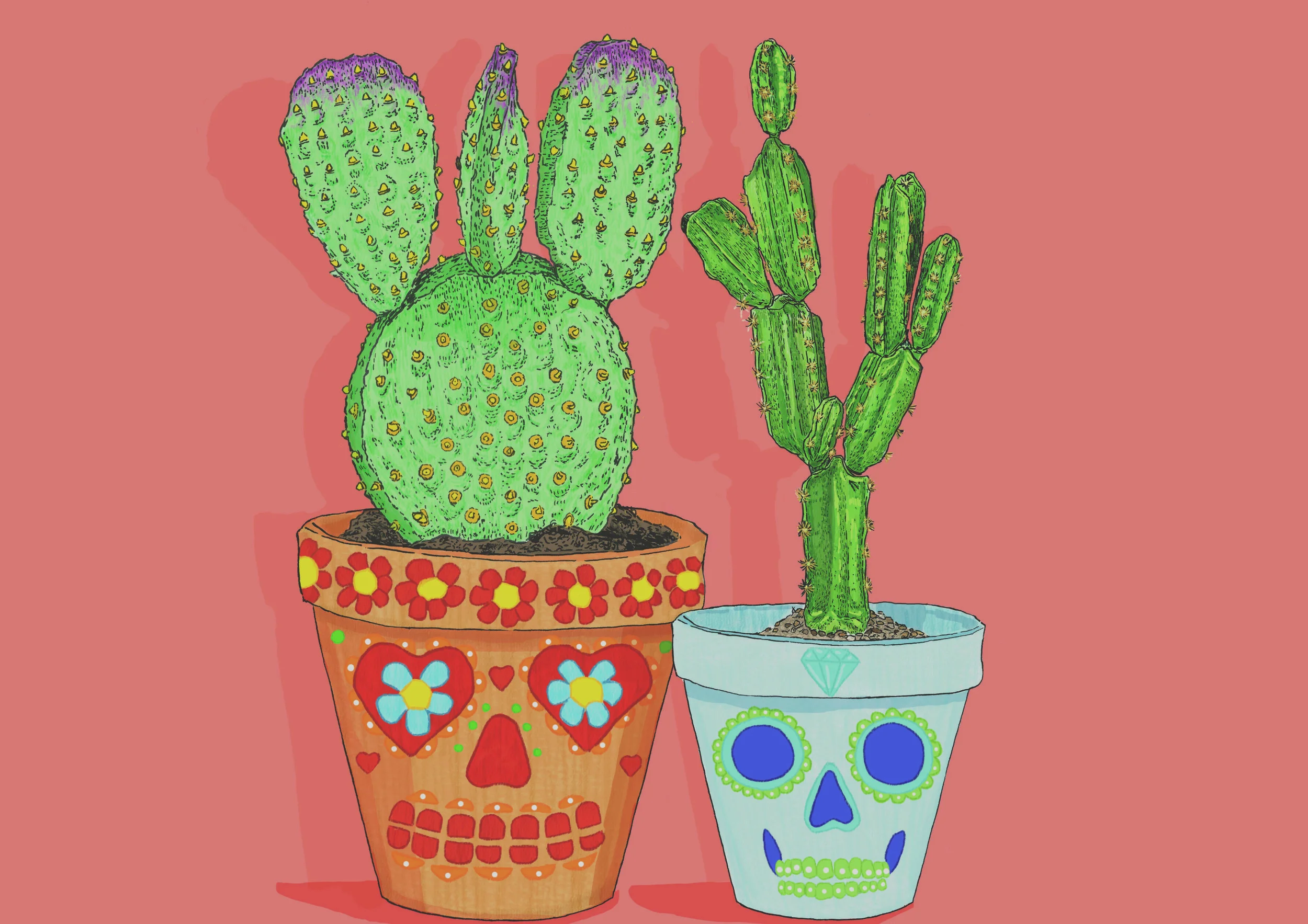 catus skull.jpg