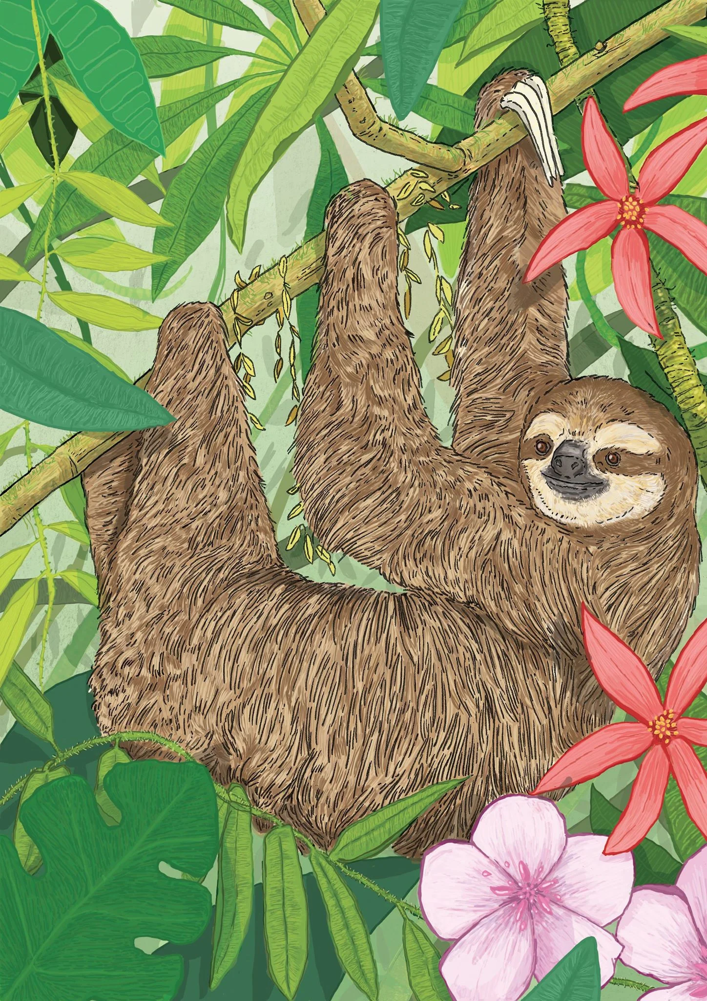 Jungle Sloth