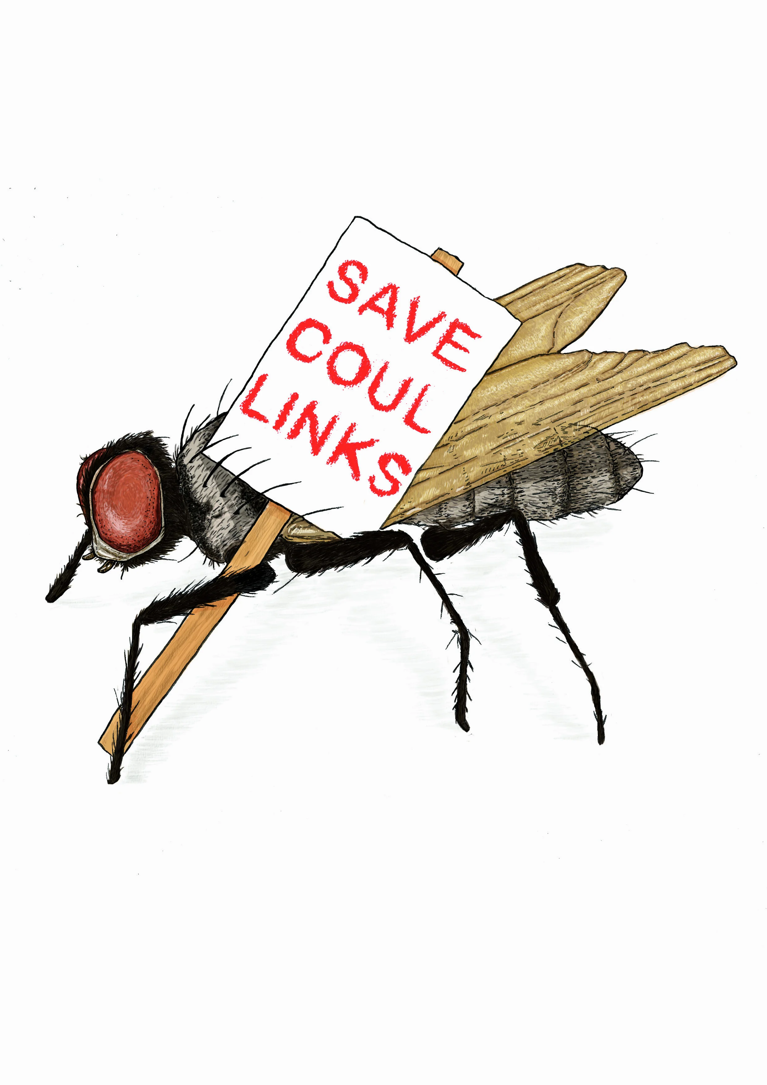 Save Coul Links