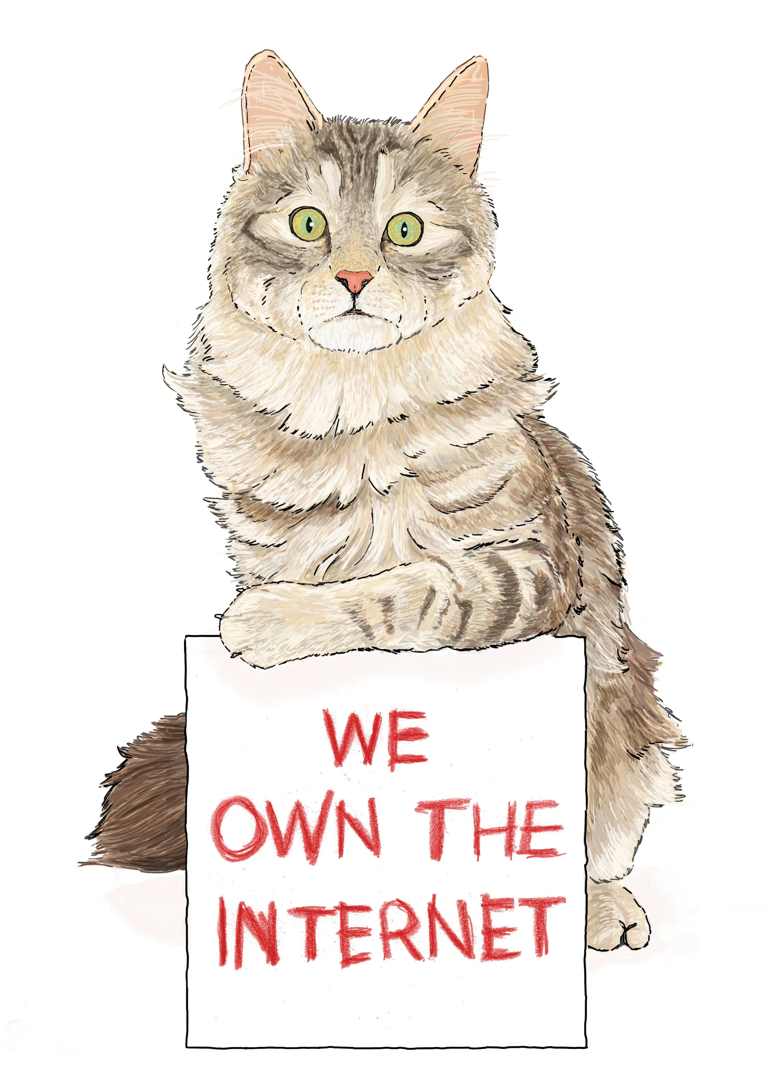 WE OWN THE INTERNET