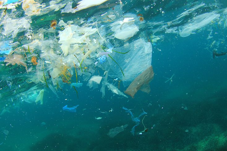 VISION: CLOSED LOOP "The best would be if we were all not there!" Friederike von Wedel-Parlow talks Closed Loop. Spoiler alert: plastic recycling isn't as great as some companies would have you believe. MORE.
