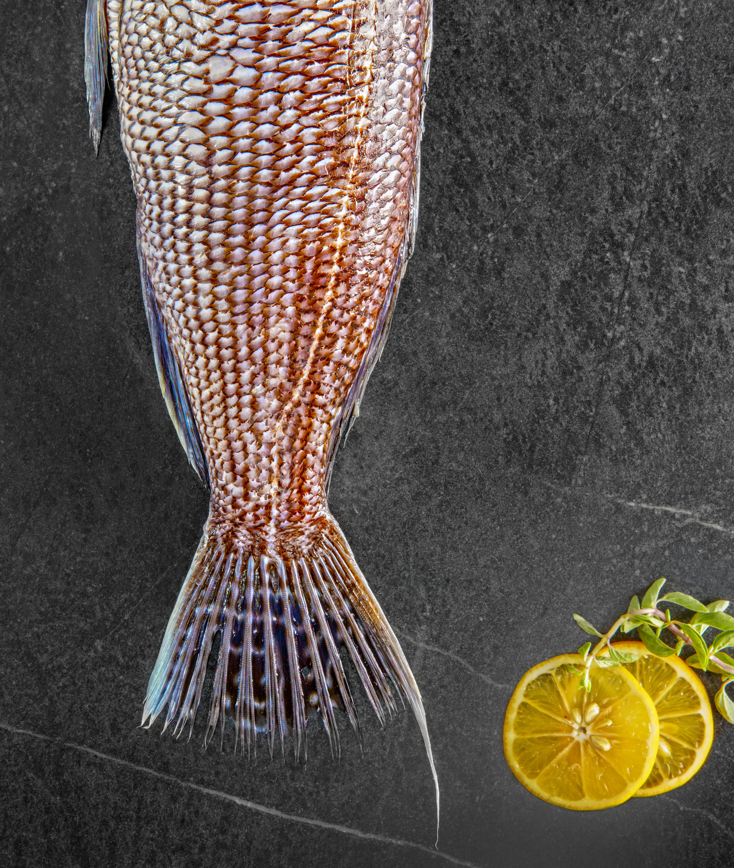 Fish Tail with Orange