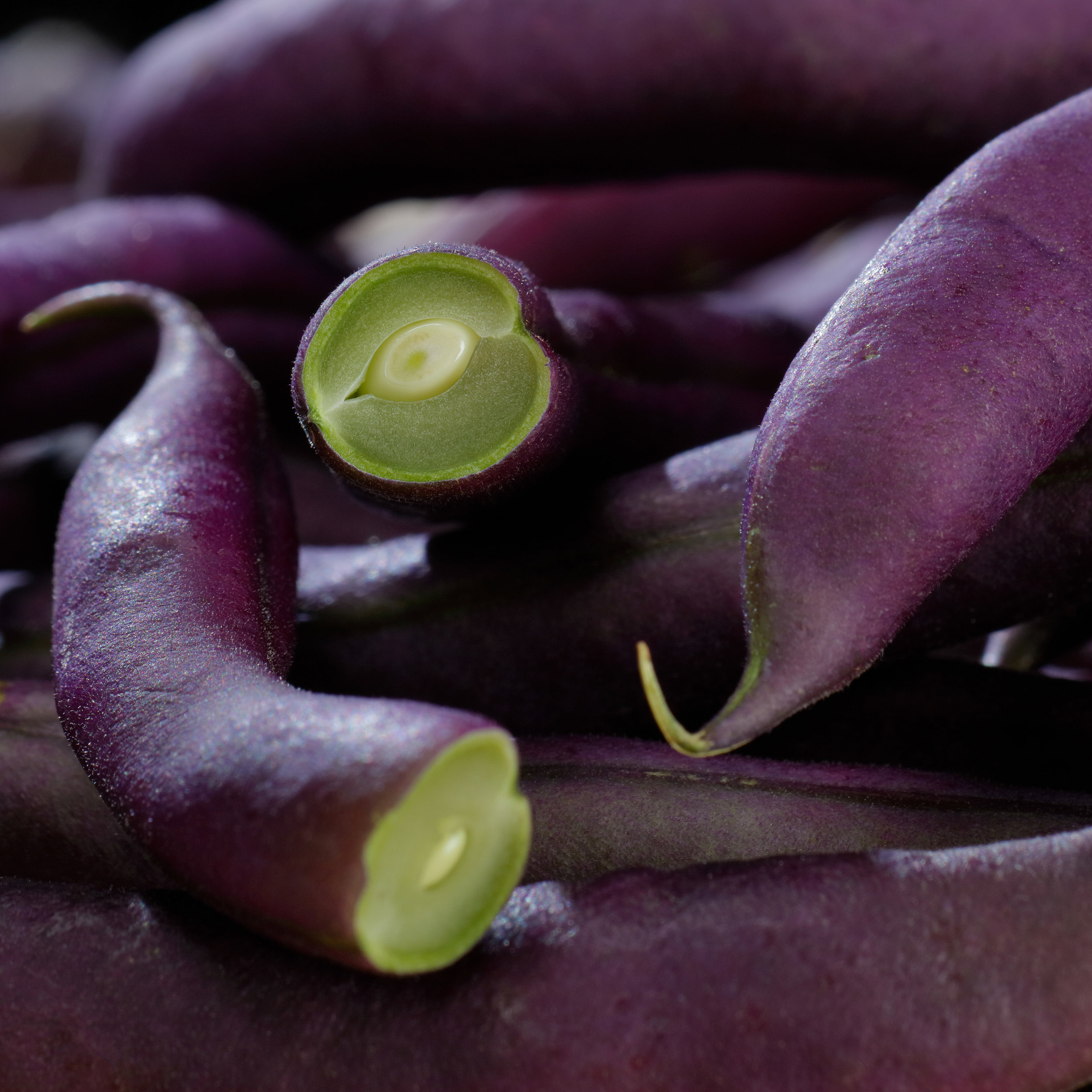 Close-up Purple Green Beans