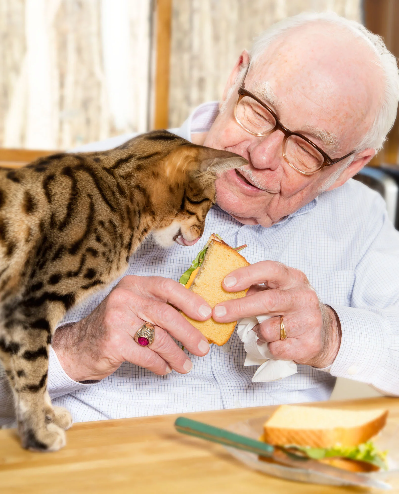 Man with Cat in Kitchen eating sandwich