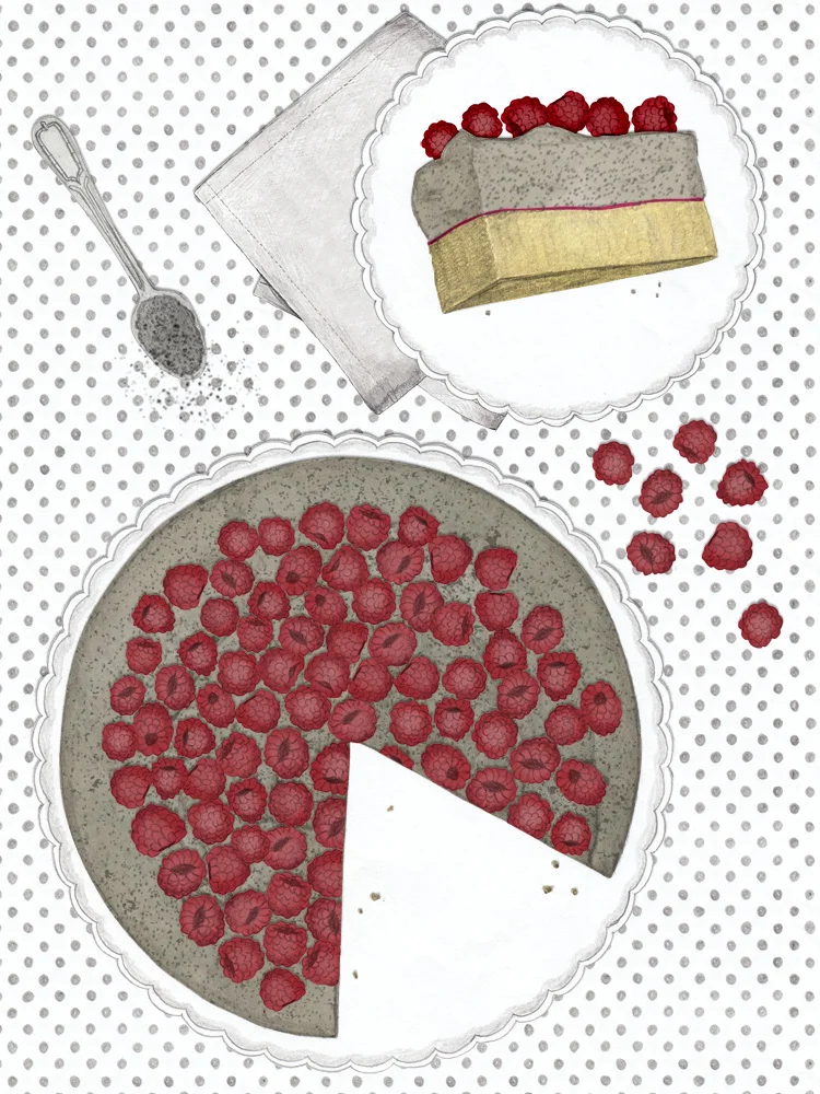 Mohn-Pudding Kuchen mit frischen Himbeeren
