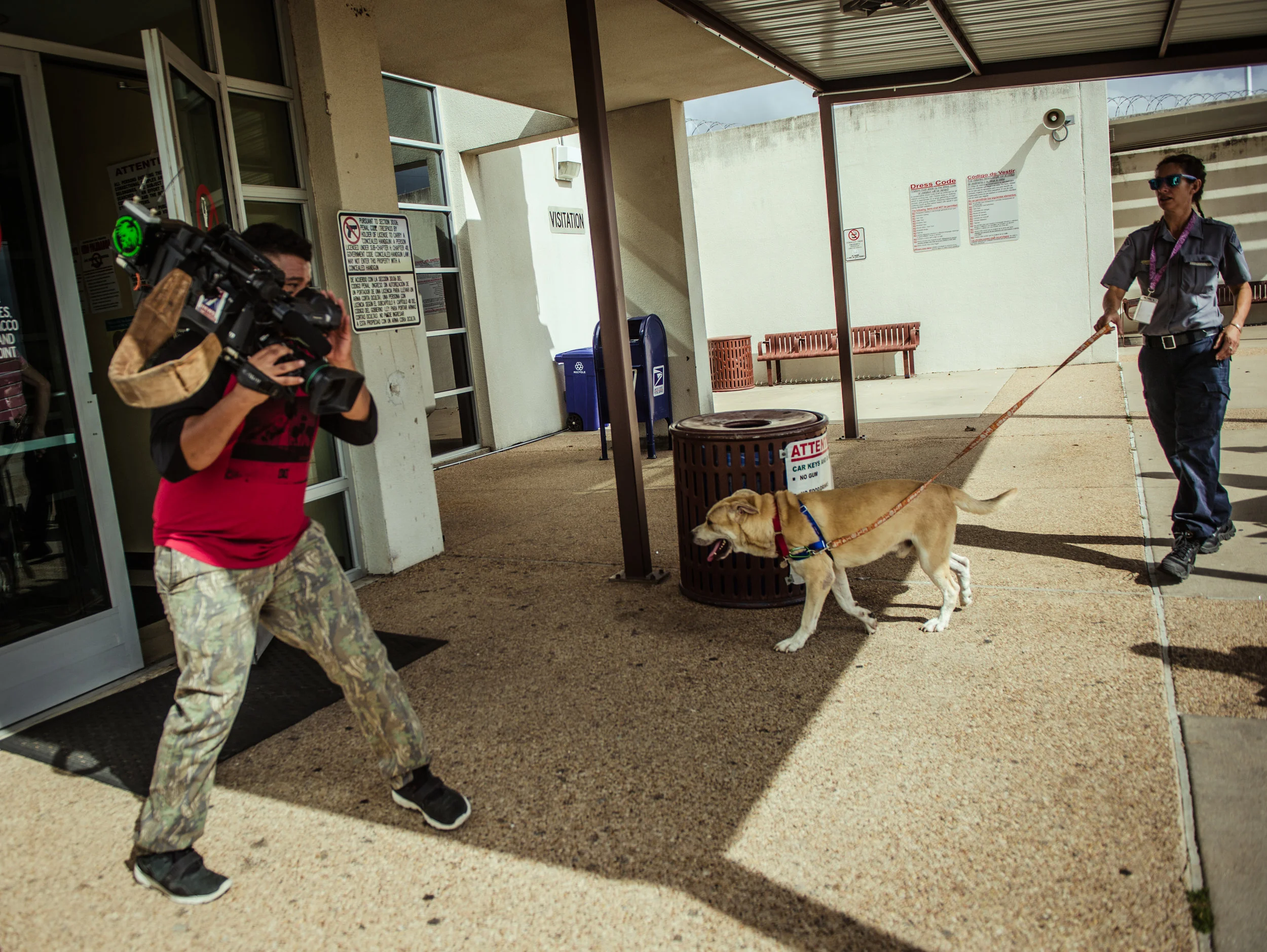 Dogs go into the jail building after the press conference.