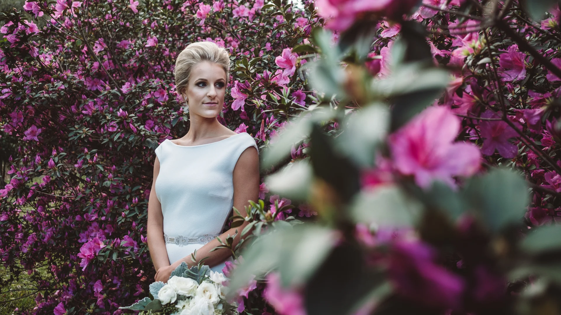 XPRO4121.jpg