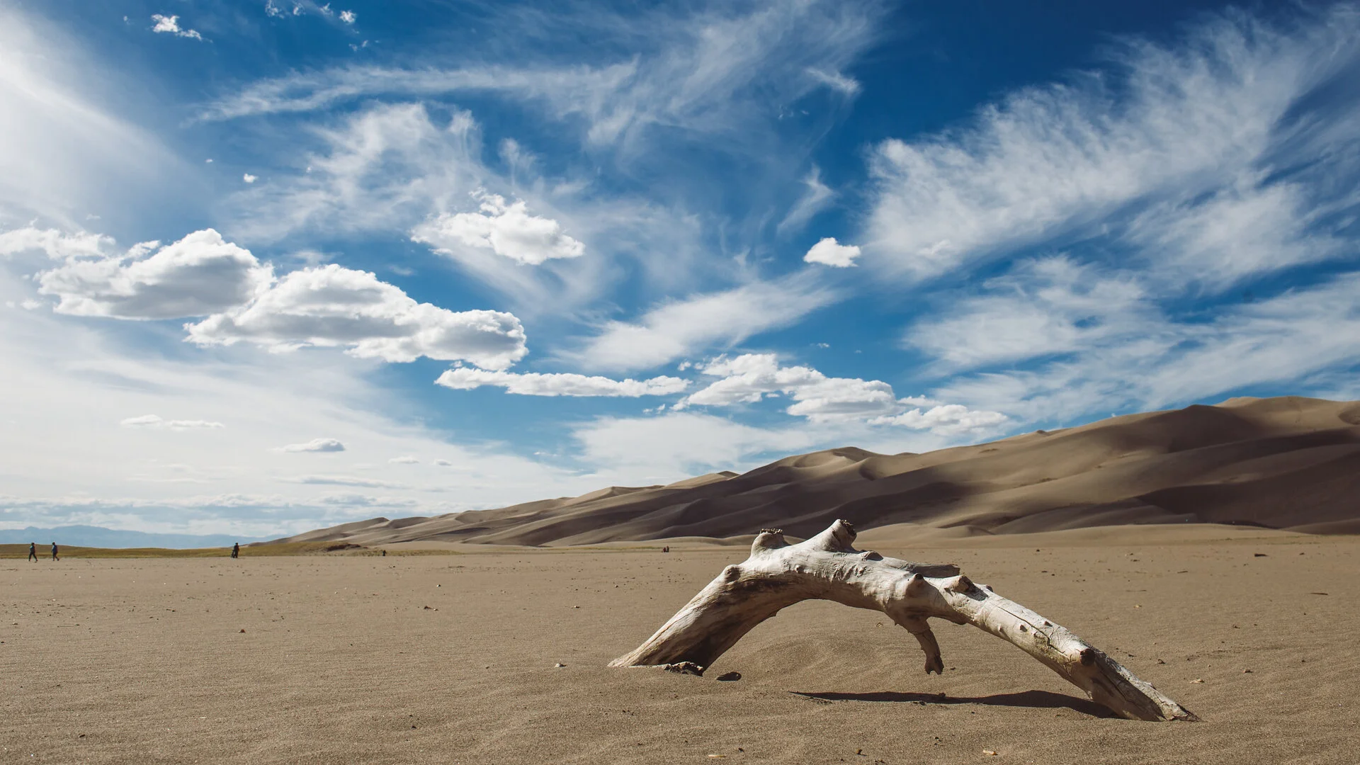 D3S_2311-Edit.jpg