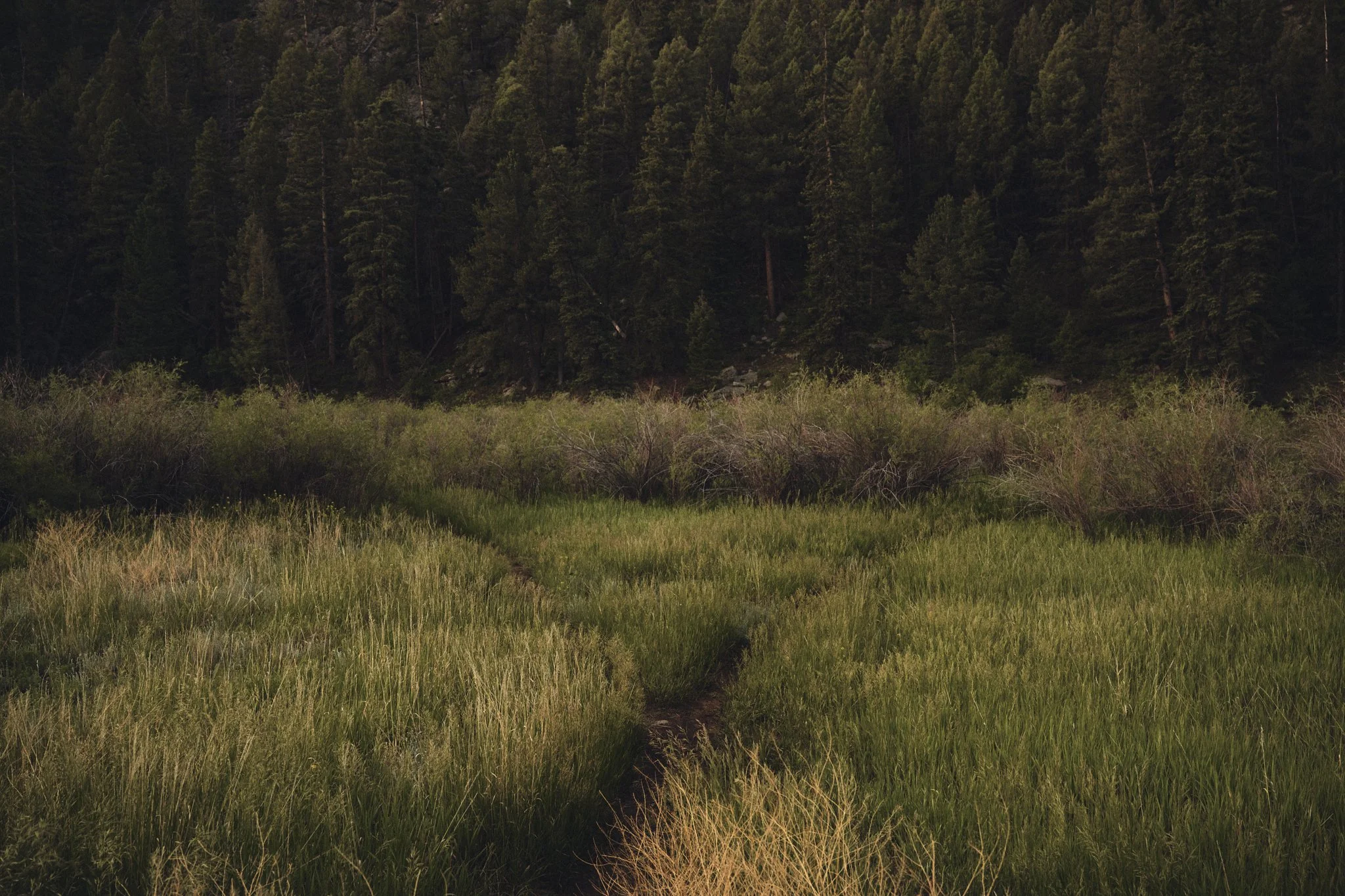 FlyFishing2025_Colorado__CF13075_ScreenRes.jpg