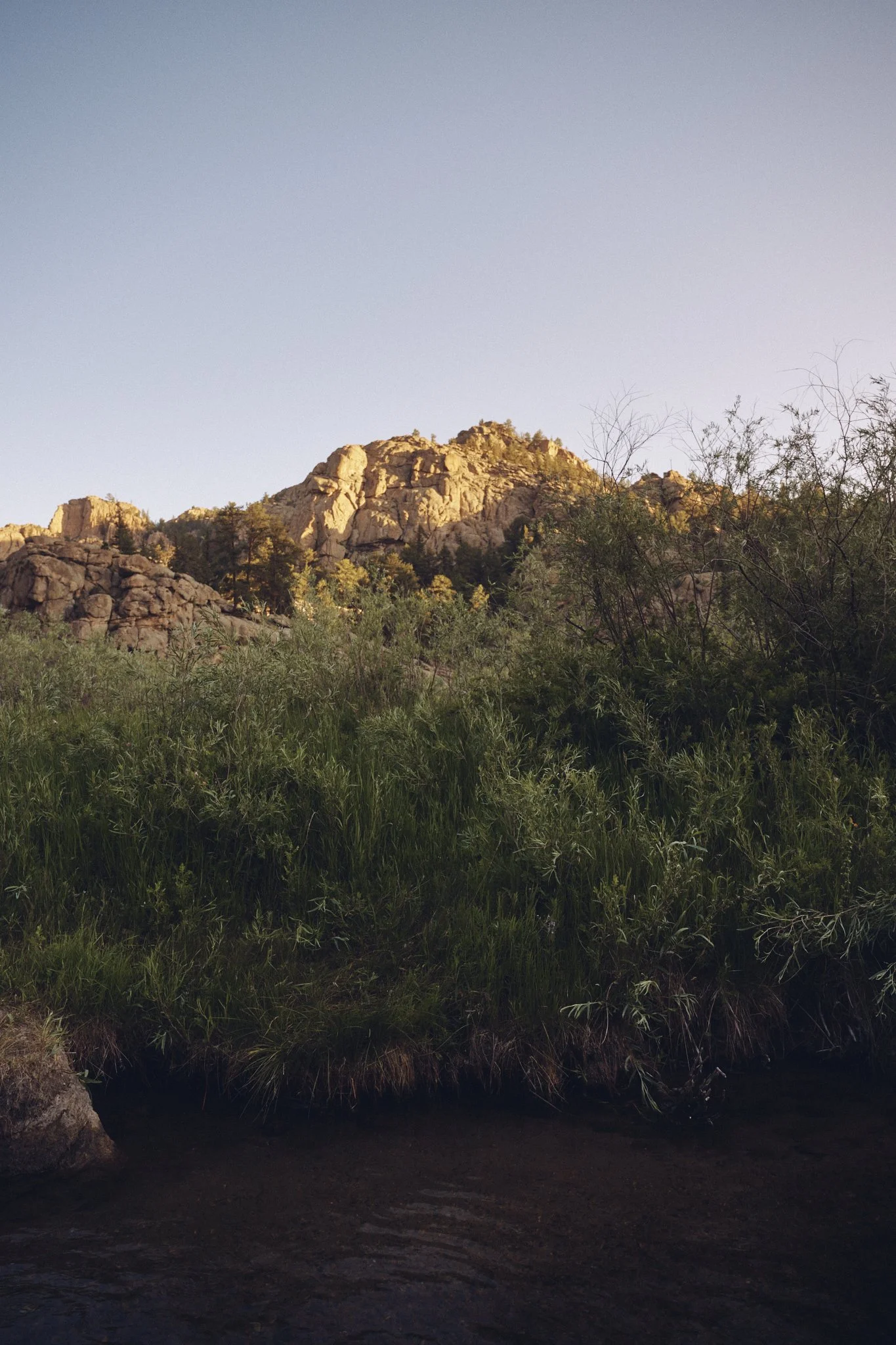 FlyFishing2025_Colorado__CF13458_ScreenRes.jpg