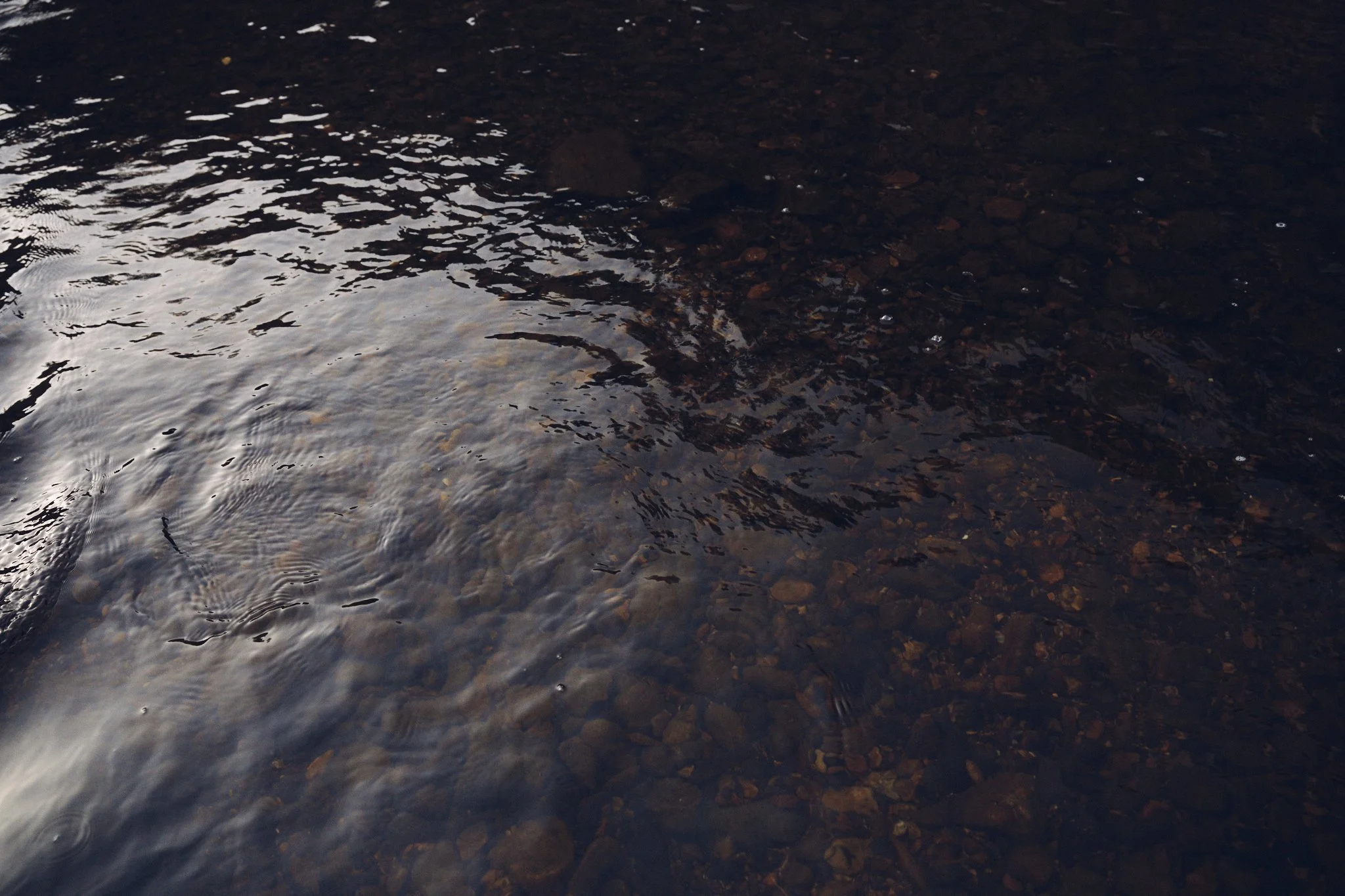 FlyFishing2025_Colorado__CF13477_ScreenRes.jpg