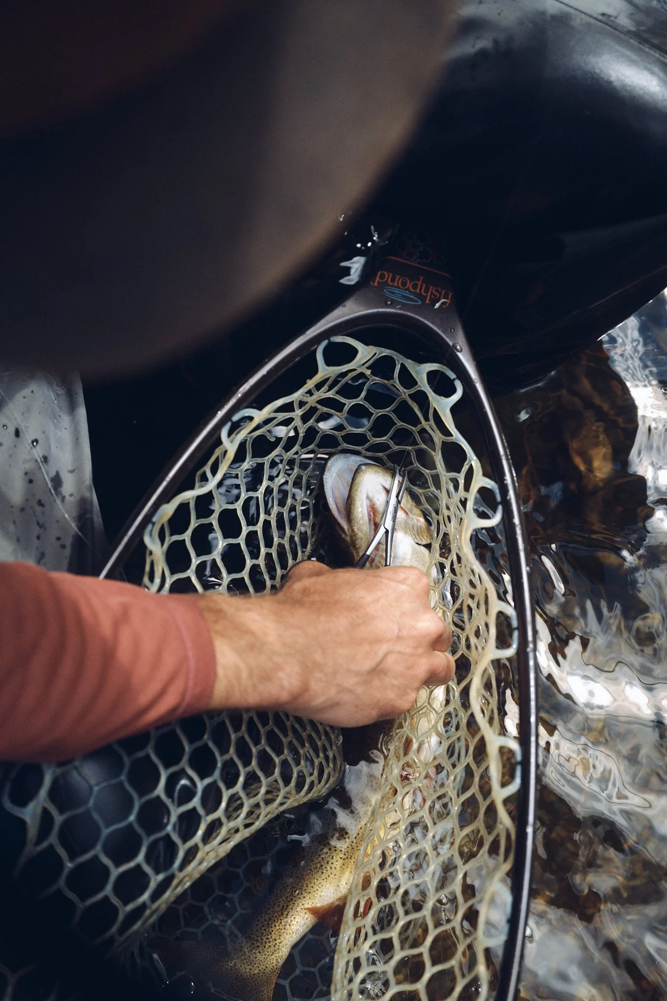 FlyFishing2025_Colorado__CF13641_ScreenRes.jpg