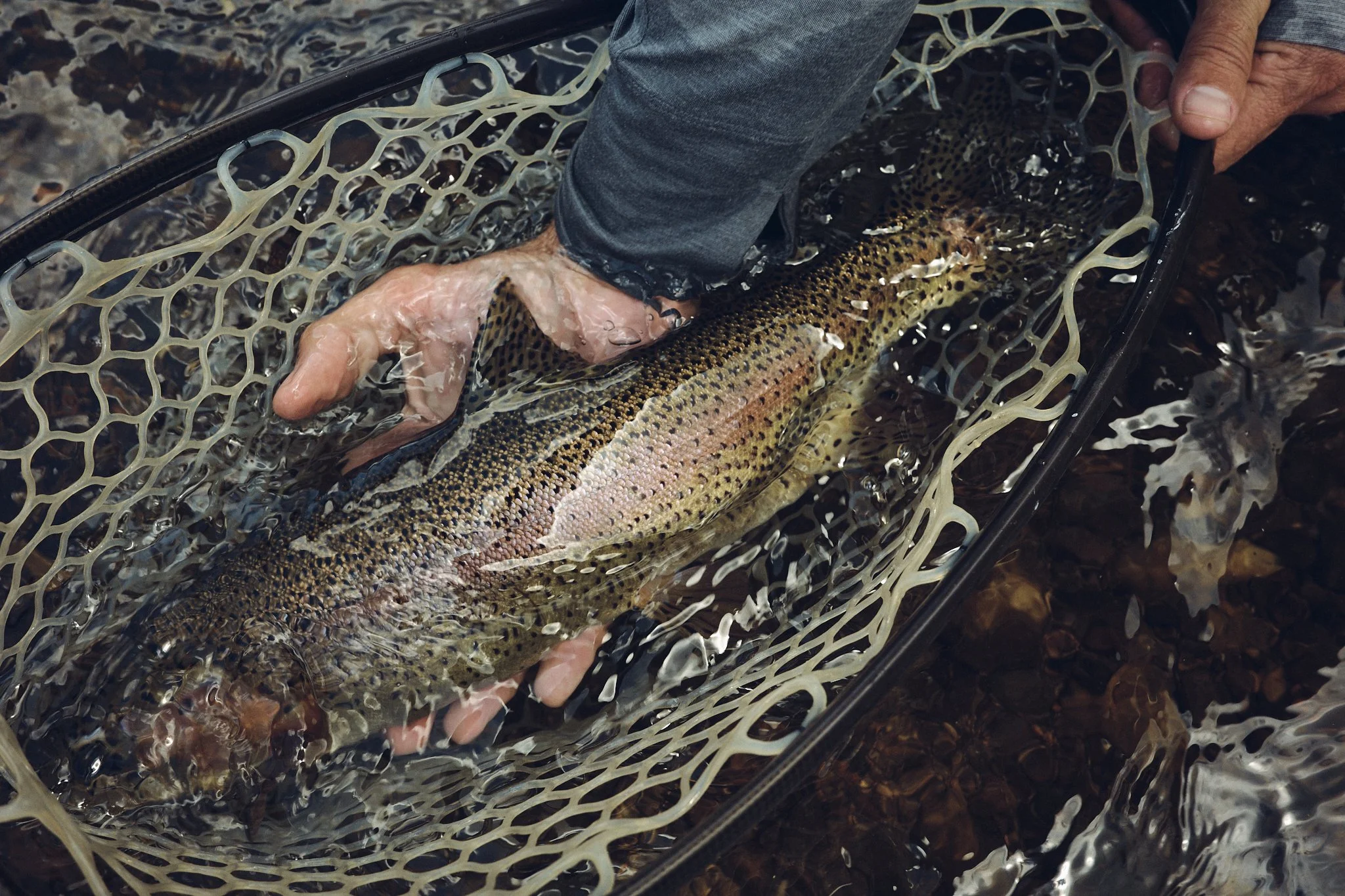 FlyFishing2025_Colorado_0B6EC544-2128-42AB-A9B9-5ED083228106_ScreenRes.jpg