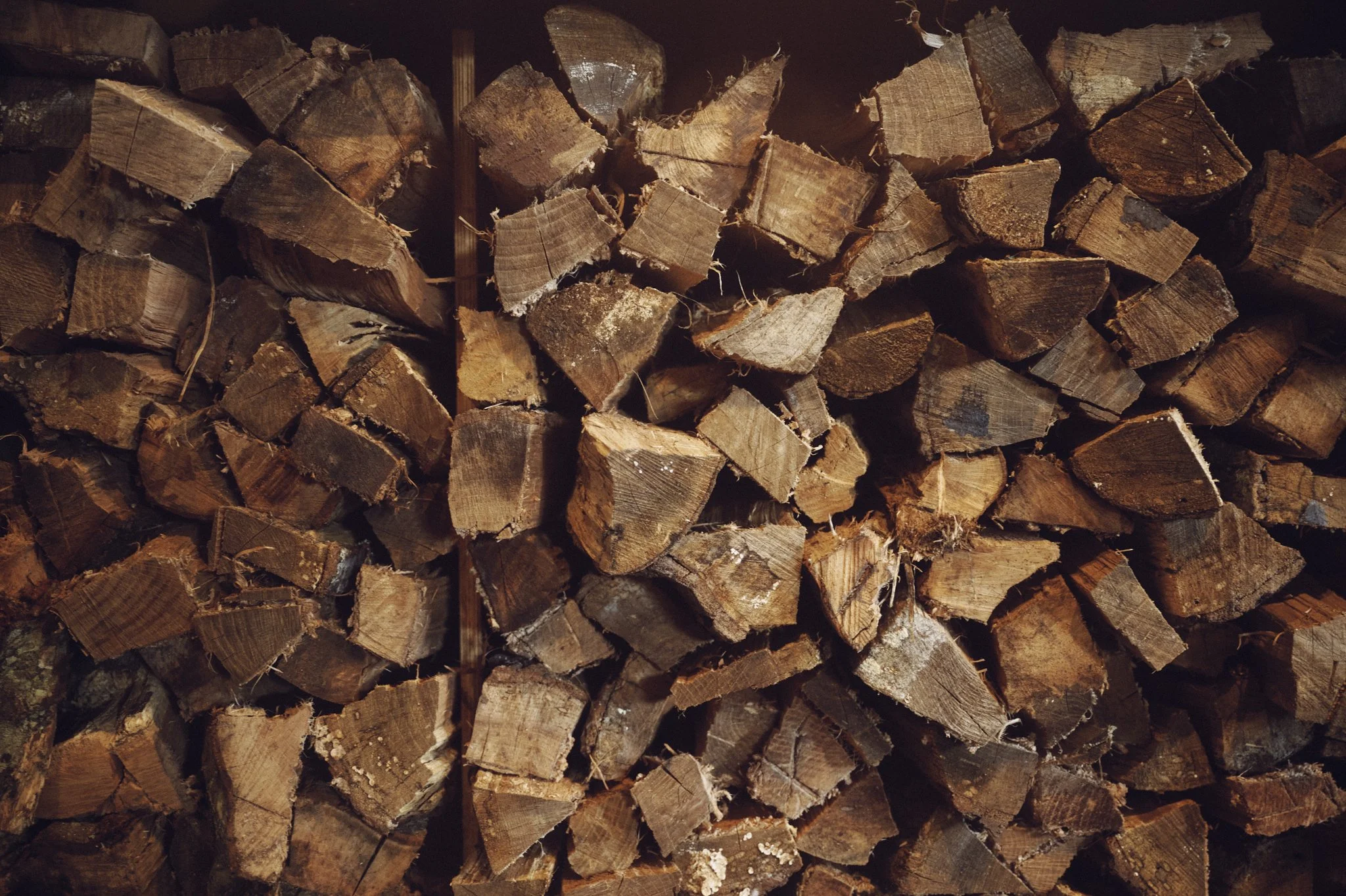 _CF12277.jpg