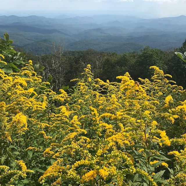 Teaching @triciawspirit how to post to Instagram watch out world #Watchoutloamlands #interestingchoices