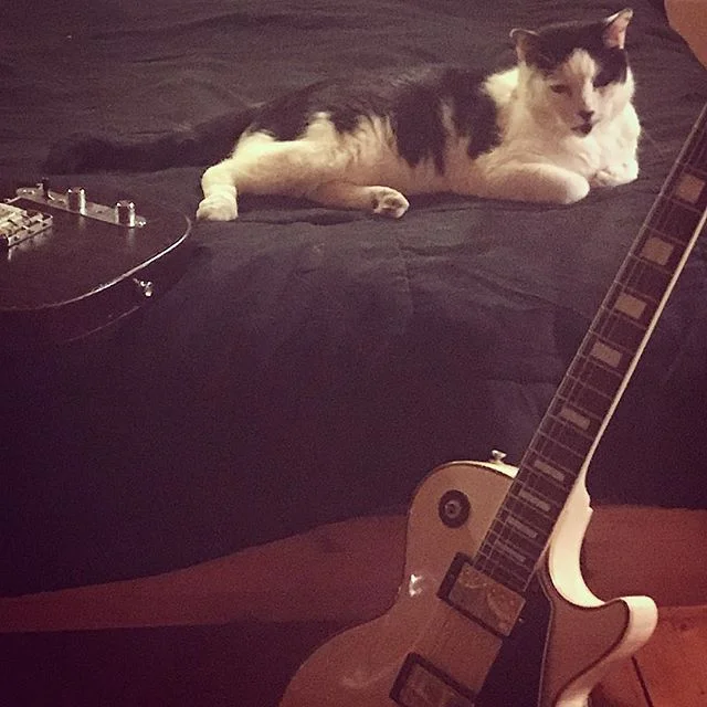 Eddie Shredder over here doing some lead traxxx😾