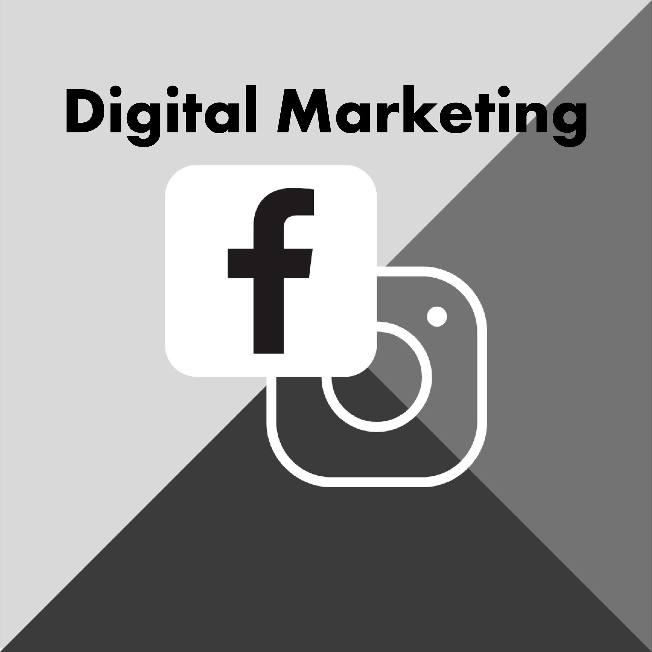 Label Services - Digital Marketing - Facebook Ads - Tik Tok Ads - Instagram Ads - Google Ads - YouTube Ads - Ads for music.jpg