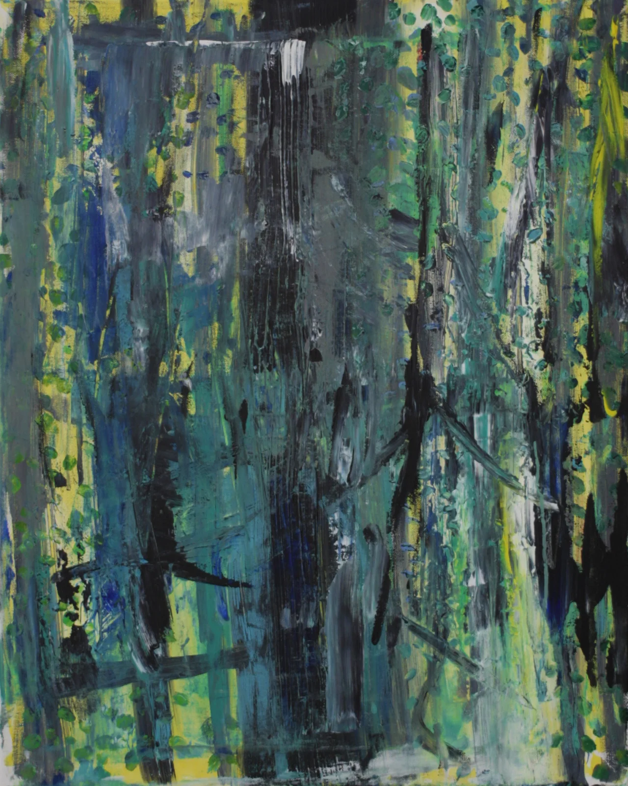 Redwood Forest Walk II