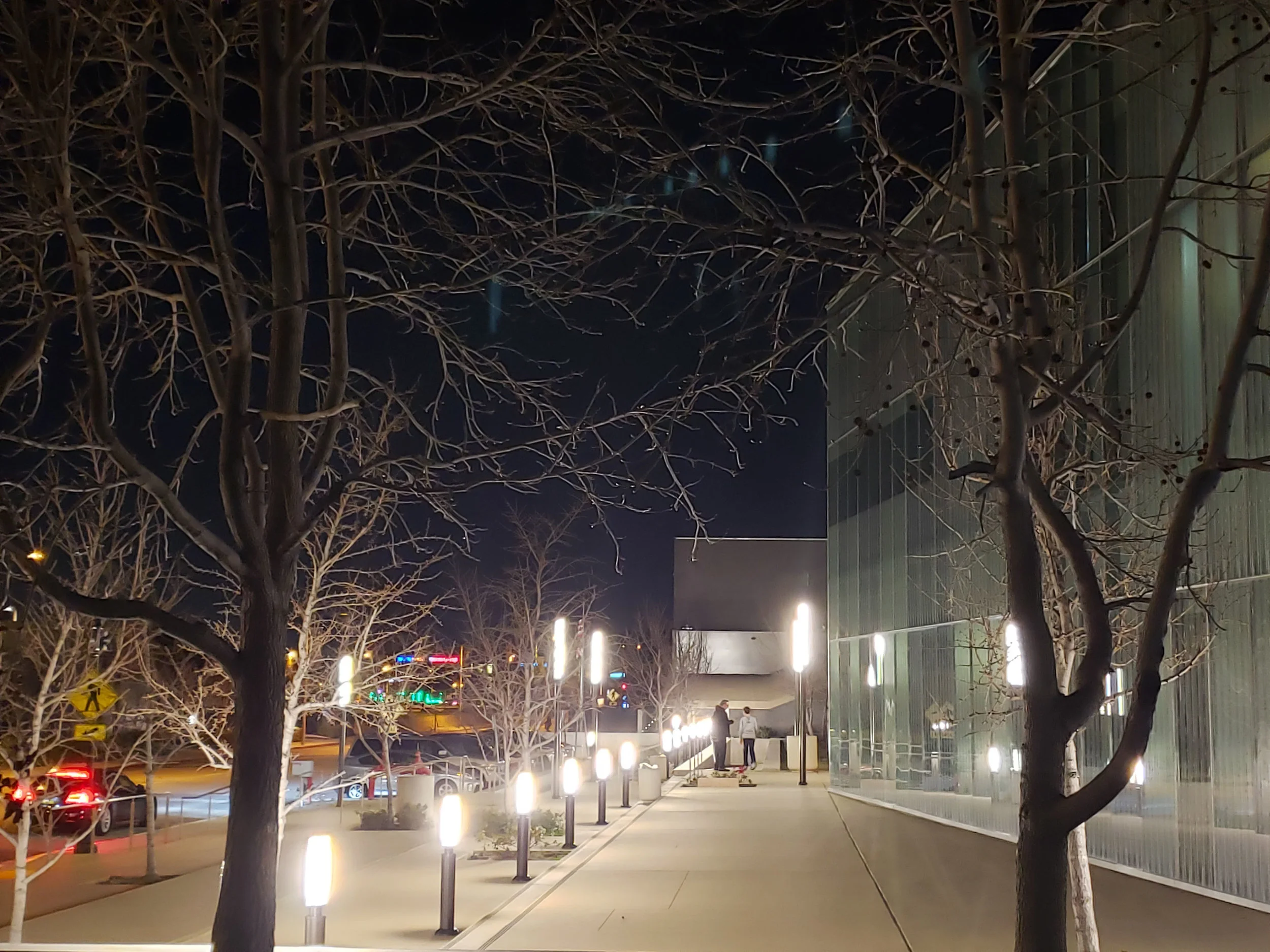Rose center night.jpg