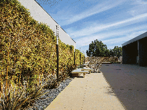 Westminster-backarea-about.gif