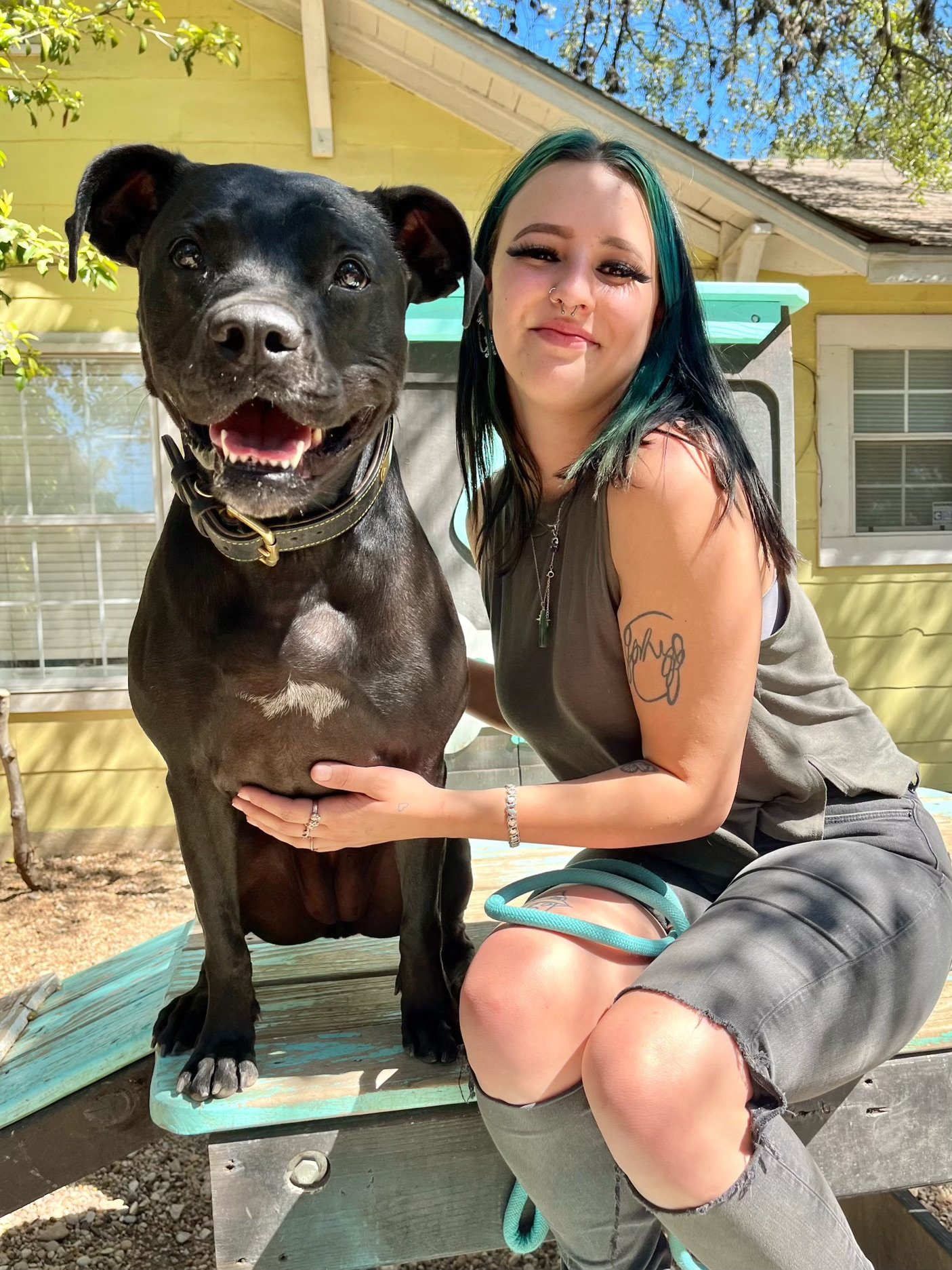What Happened To Sui On Pitbulls And Parolees - 8658pcb
