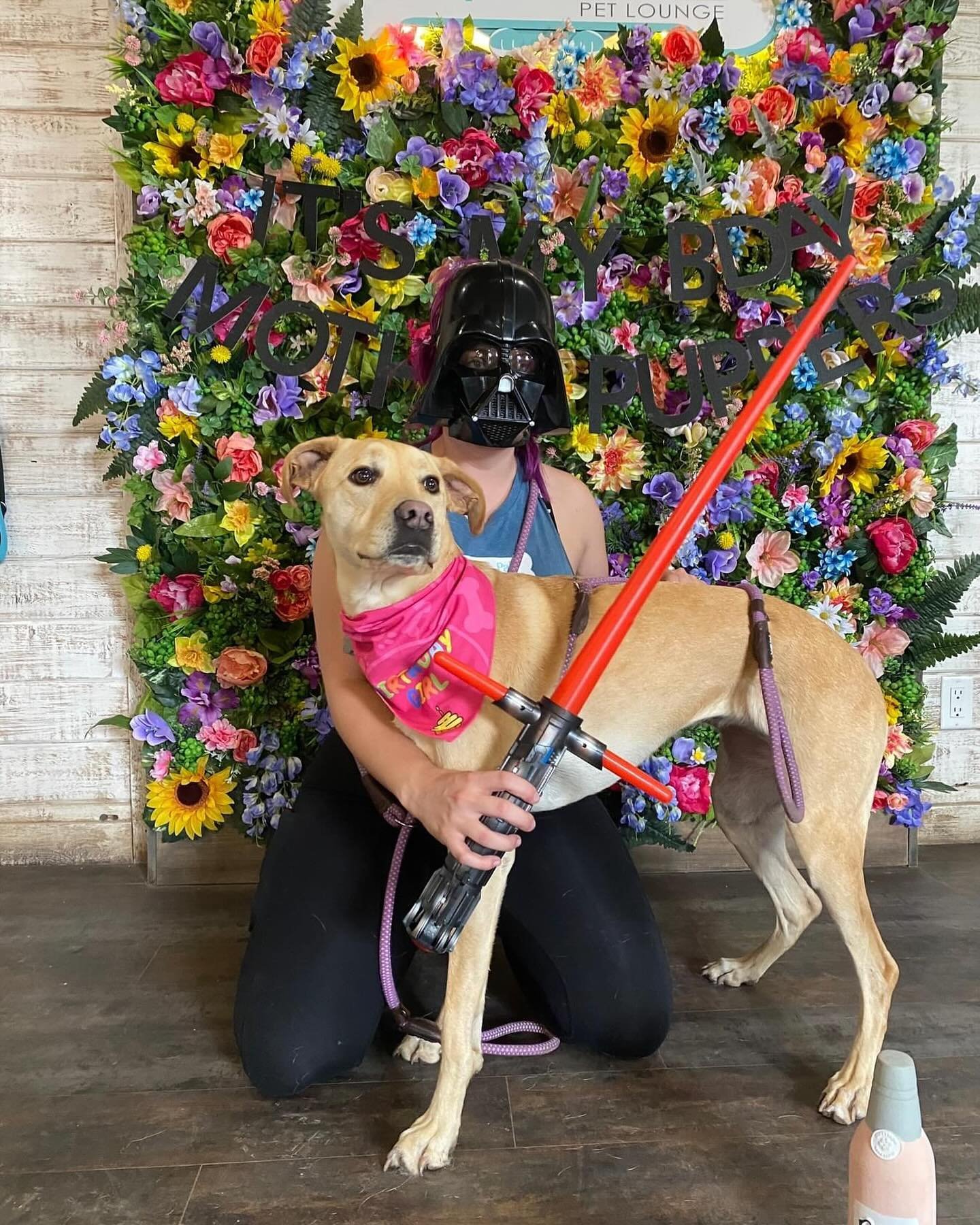 Oh no! Darth Vader has taken birthday girl, Nia, hostage! We heard he is trying to build up his army, and has decided to recruit some puppers to the Dark Side! He has chosen to recruit new pups, Luna and Max on their first day, as well as some of our