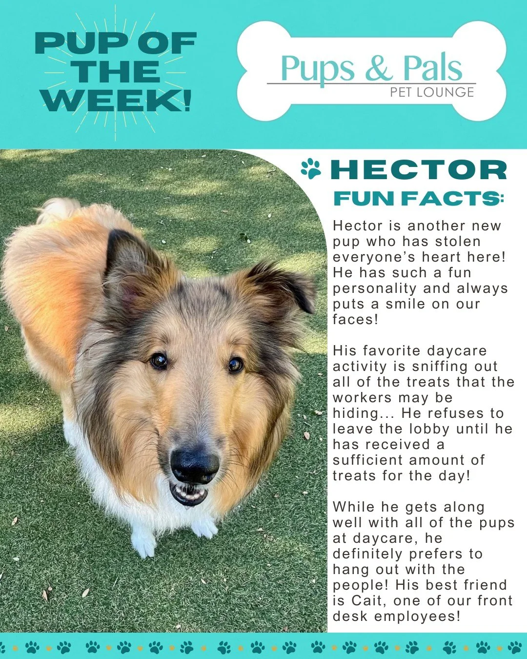 🐾💙 Check out this week's Pup of the Week: Hector! 💙🐾