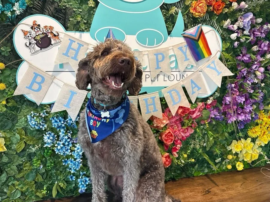 Hey y’all! It’s a very special day today because we’re celebrating Rascal’s 5th birthday! π₯³