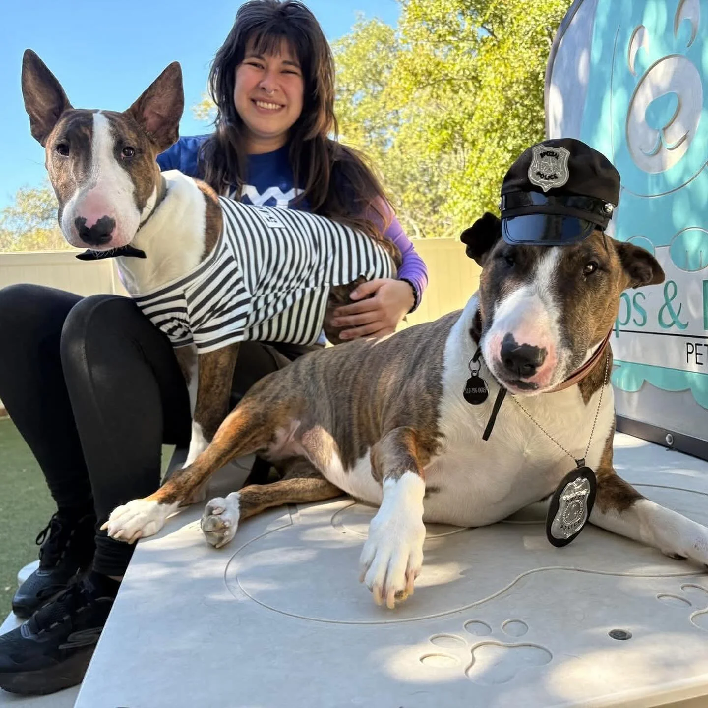 Happy Hallow&rsquo;s Eve, y&rsquo;all! 👻 all the pups are here for a spoooooky day of daycare fun! 🎃