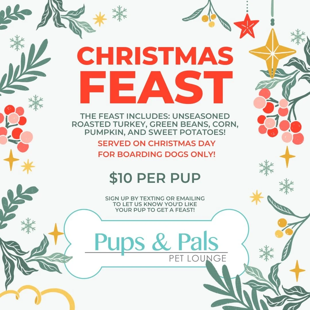 It&rsquo;s that time of year! 🎄 If you want your pup to enjoy our Christmas Feast this year, please email us or text us to let us know and we will get your pup placed on our Feast List for this Holiday! This is only for dogs who are staying in overn