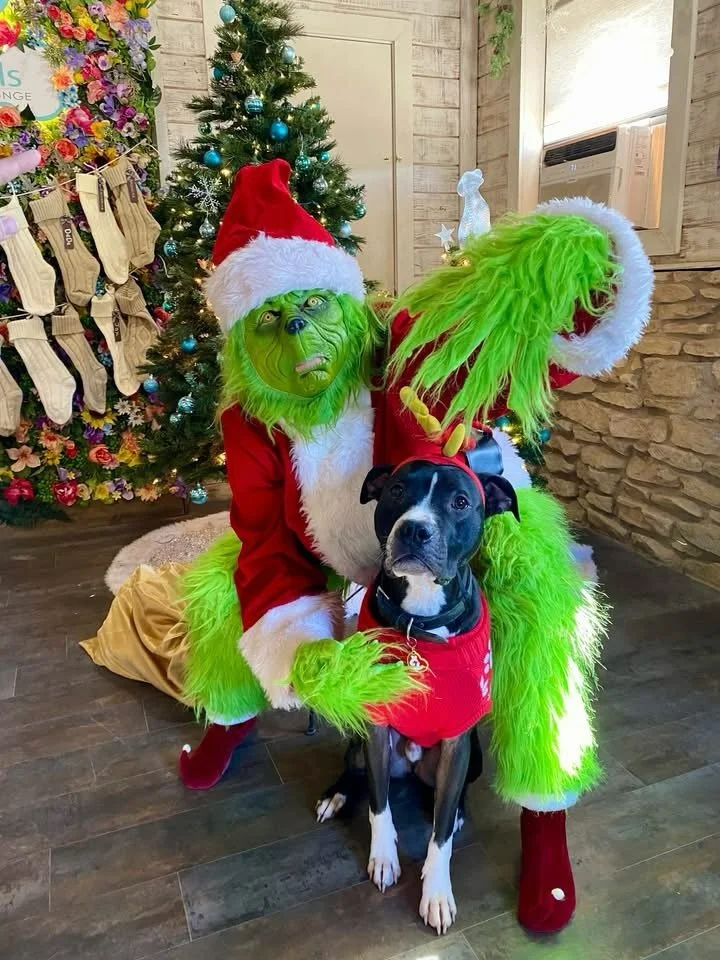 The Grinch&rsquo;s heart grew 3 sizes larger on this day due to so many puppy kisses! The only thing the Grinch loves more than stealing Christmas, is stealing kisses from the pups! 💚
