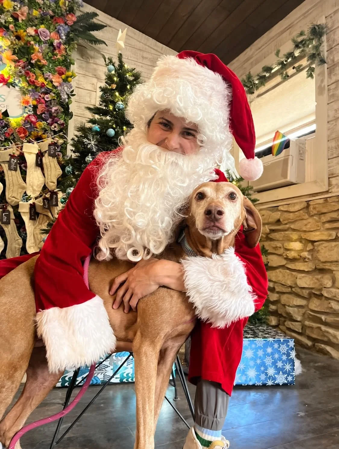 Our pups are fueling the Reindeer Sleigh&rsquo;s magic with all of their love and Christmas Spirit! 🛷🎁🎄