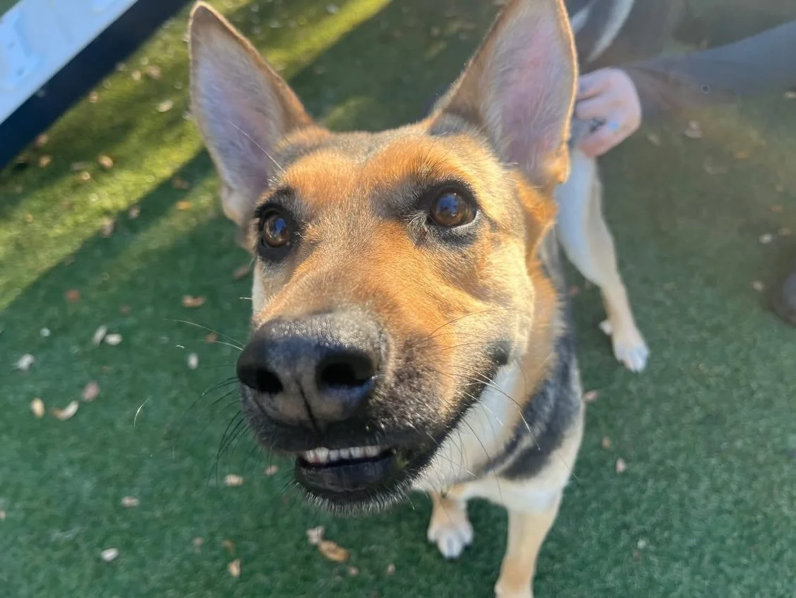 So many cute faces here to play today!