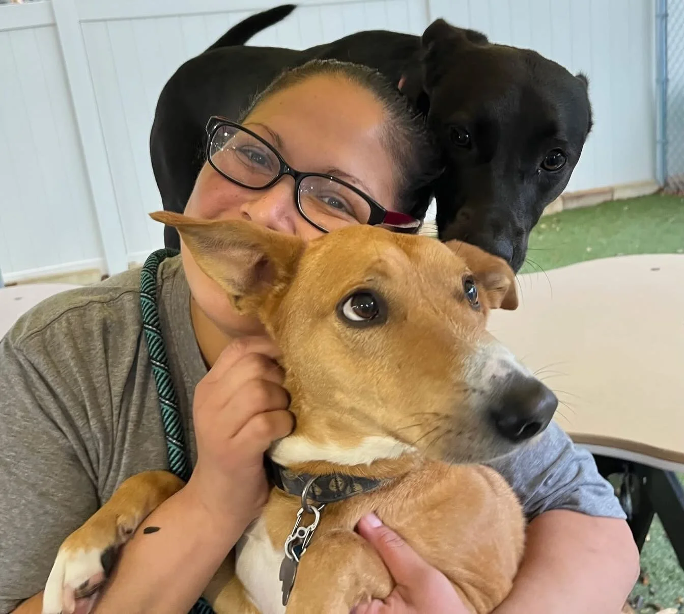 Checkout slide 11 🙈🐾 These pups are having a blast before staying cozied up for the weekend!🥰We hope you guys stay safe and warm and enjoy this weekend&rsquo;s winter wonderland ❄️🐾☃️