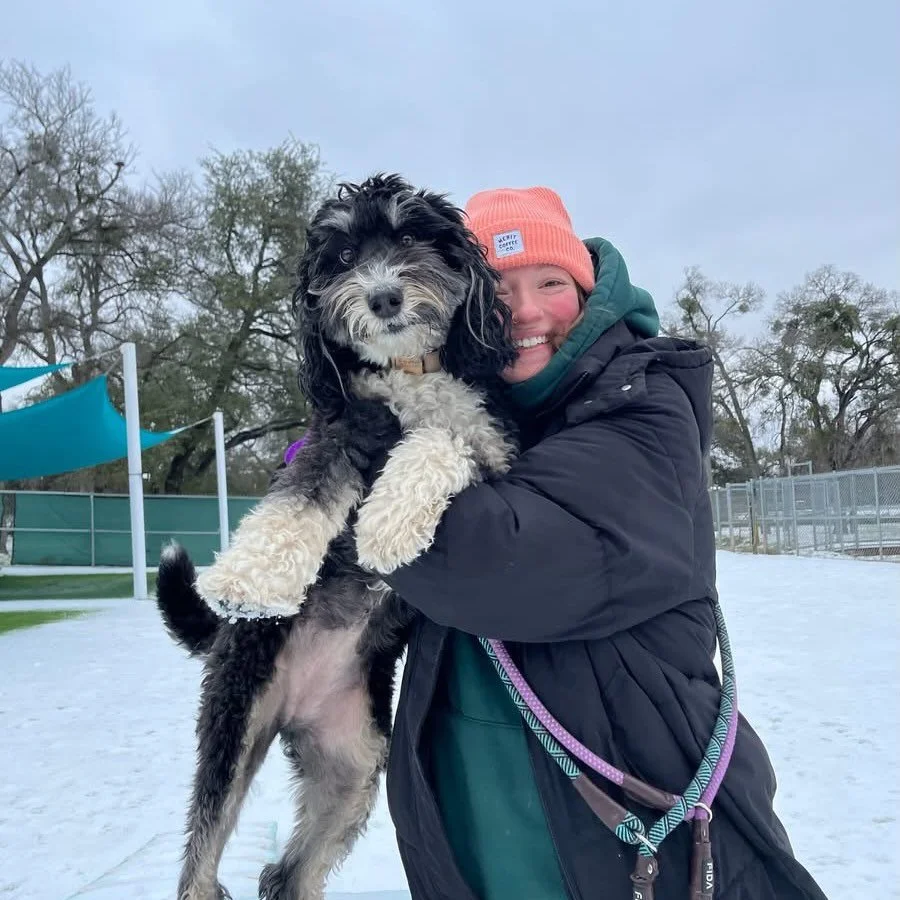 Pups and Pals is a Winter Wonderland today, and these pups are taking advantage of it! The snow zoomies are so real! ❄️🐶🐾 Stay tuned for videos coming shortly! 🩵