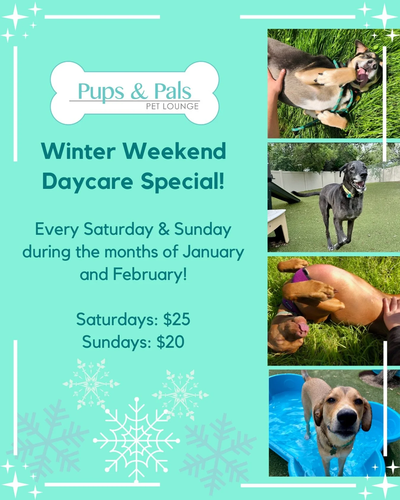 ❄️ Only a few more weekends of our Winter Weekend Day Care Special!

❄️ February 21, 22, 28, and March 1st - Day Care is $25 on Saturdays and $20 on Sundays!

❄️ Email us at info@pupsandpalssouthpark.com to sign up your pup!
