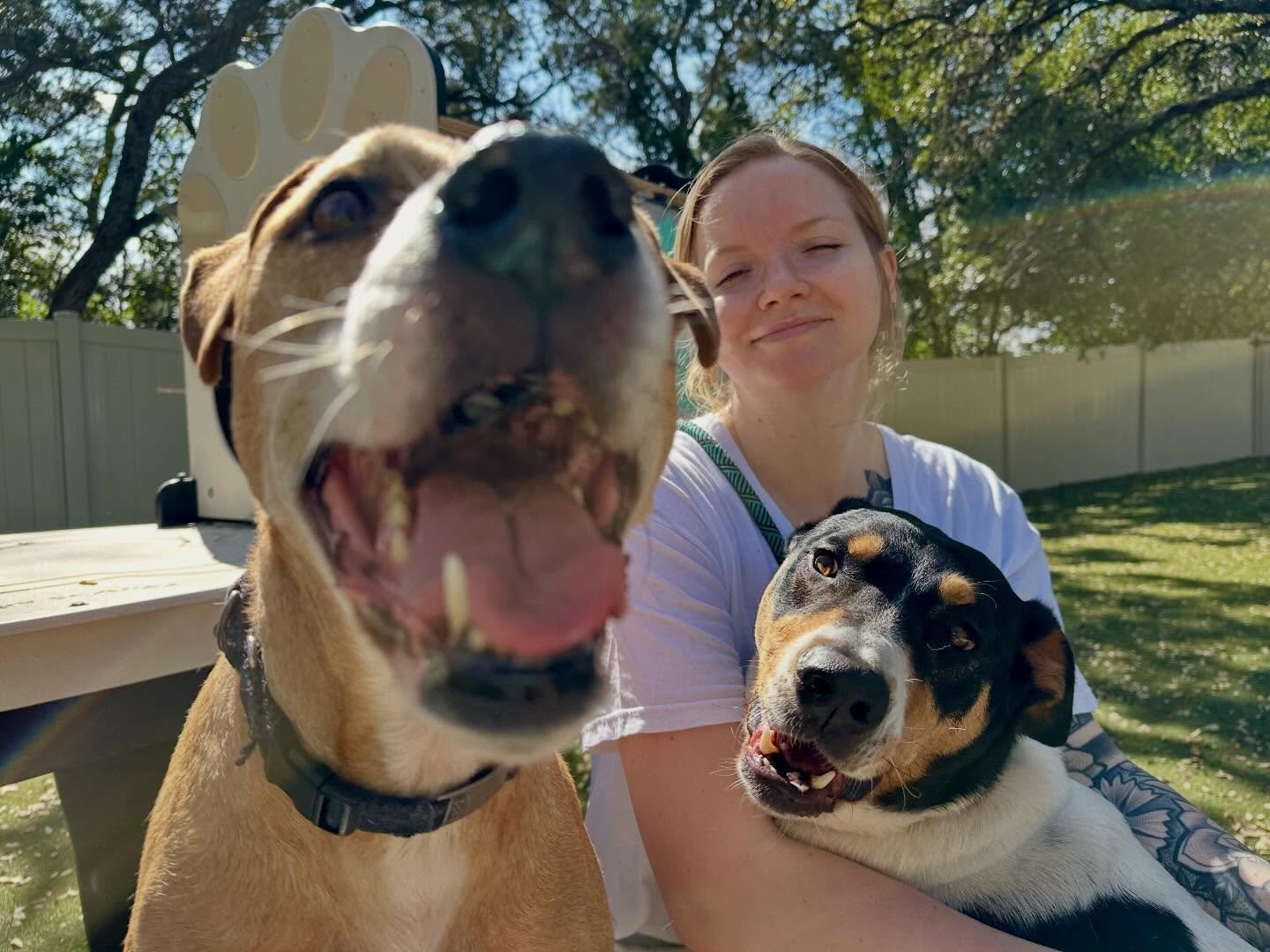 We have the sweetest pups here to play on this beautiful warm Sunday!

We&rsquo;re transitioning to posting all of our daily photos to the Pups &amp; Pals app! We&rsquo;ll still post the highlights on Facebook &amp; Instagram, but make sure to log-in