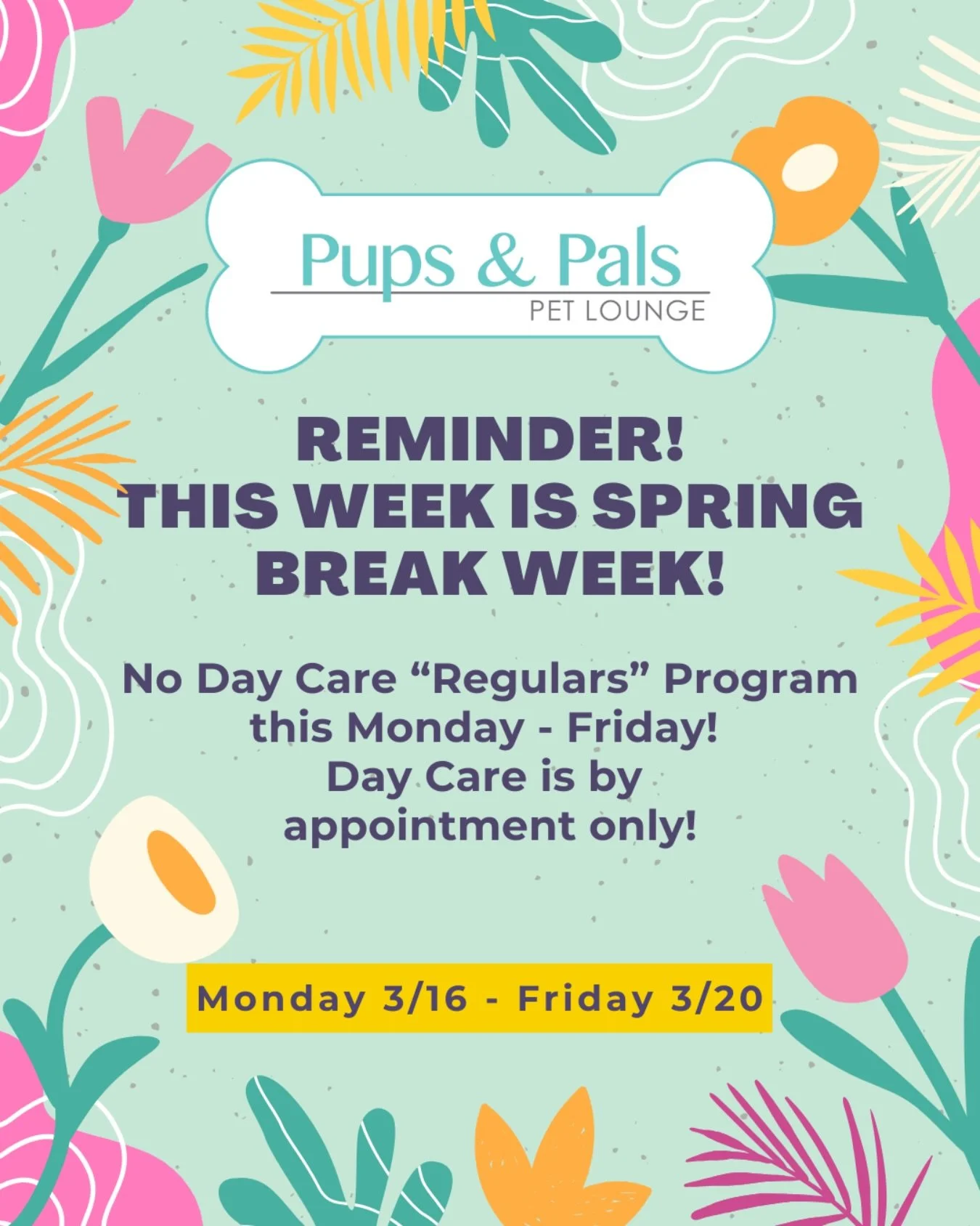 💐 Reminder! This week is Spring Break! Due to the large amount of overnight lodging reservations, we are not holding our doggy day care &ldquo;Regulars&rdquo; program this Monday 3/16/26 through Friday 3/20/26. Day Care this week is by appointment o