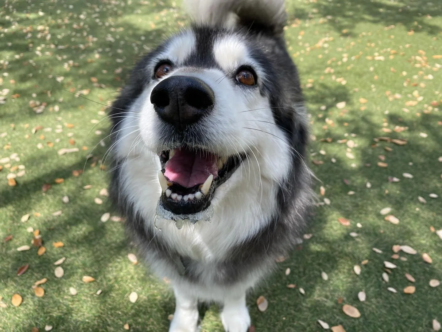 Happy Sunday Funday!!!