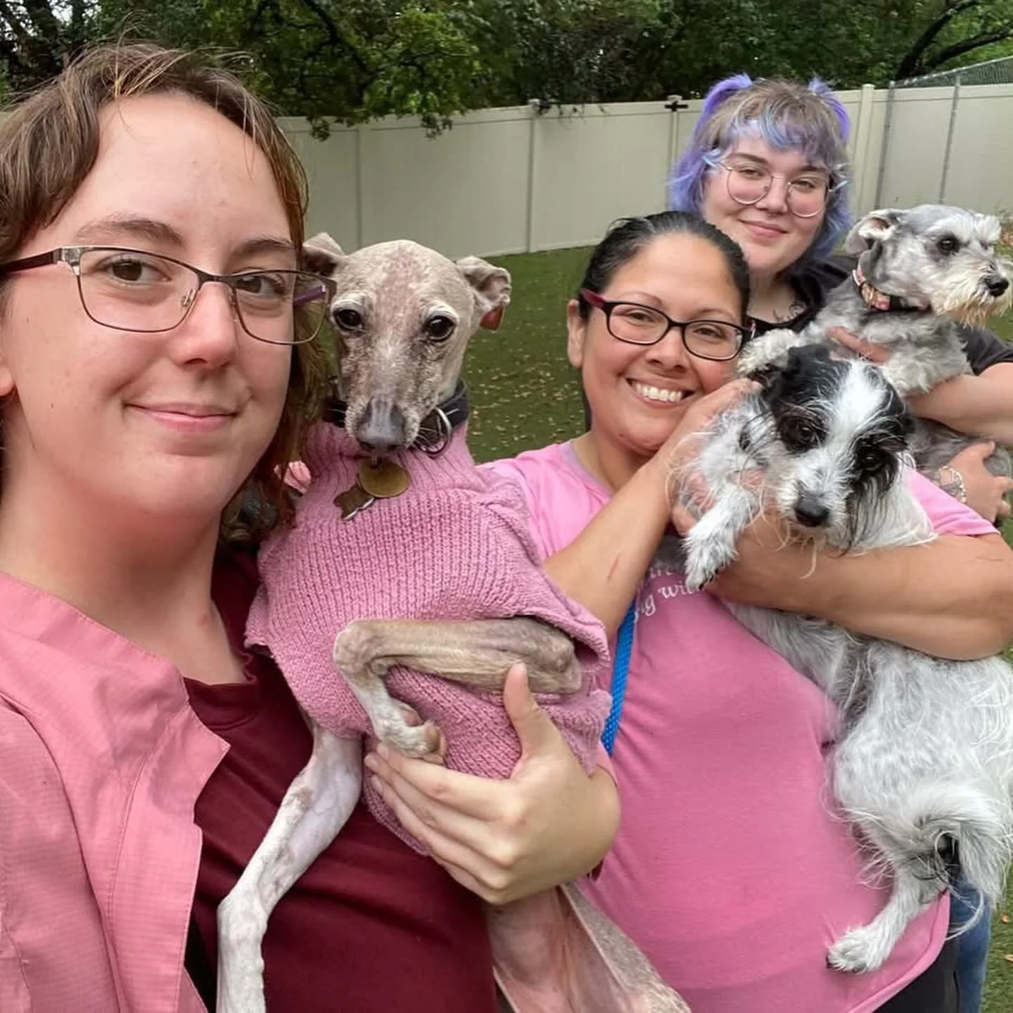 Rain rain go away, these pups want to sunbathe again! ☀️