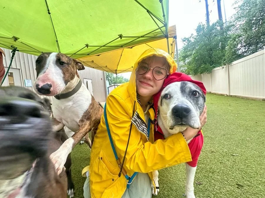 It&rsquo;s easy to get through these rainy days when we have the cutest pups EVER! 🥰☔️ 

#doggydaycare #dogdaycareatx #pupsandpalssouthpark #pupsandpalspetlounge