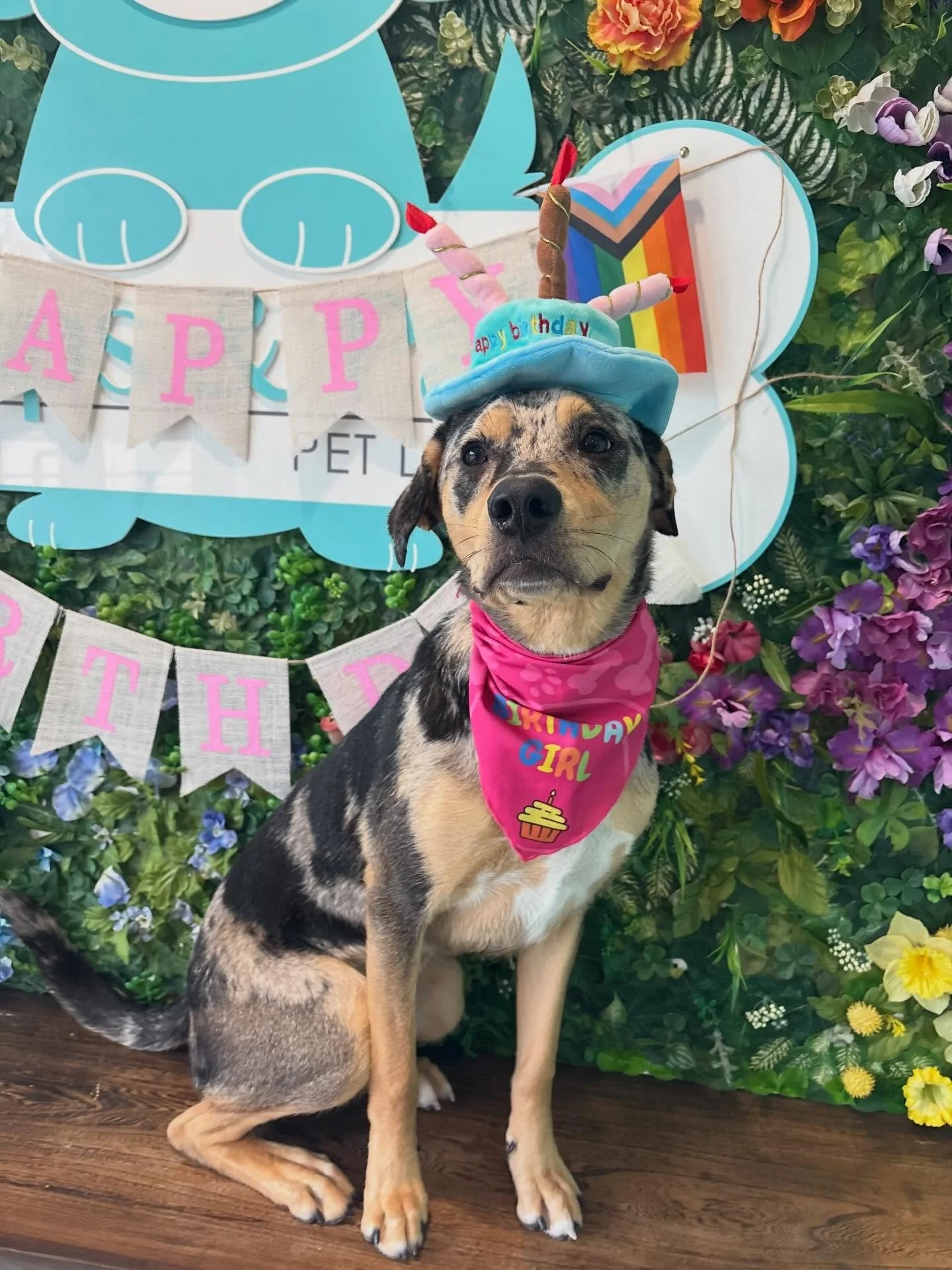 We would also like to wish a very special FIRST birthday to Pepper! 🥰🐾