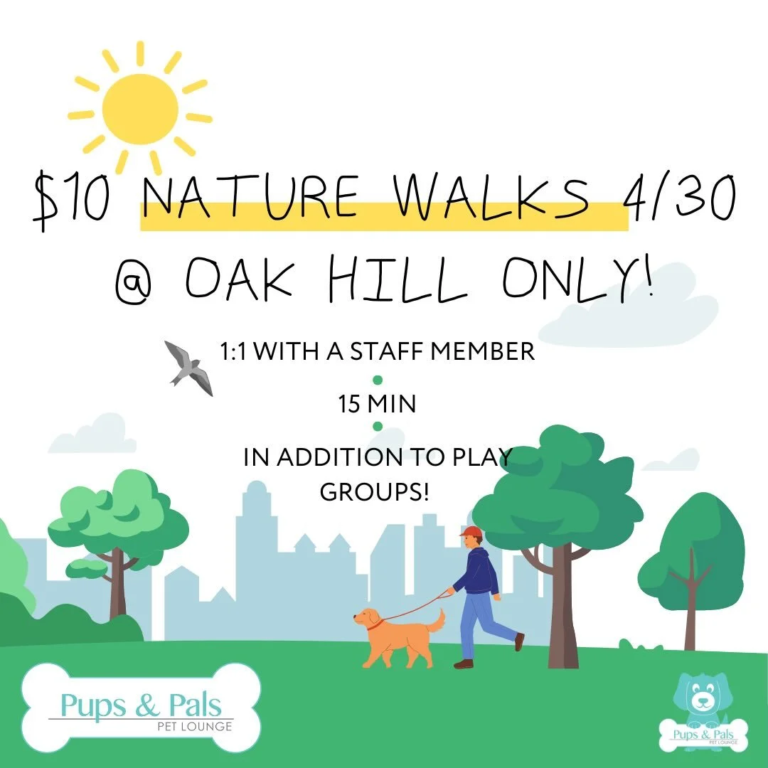 OAK HILL EXCLUSIVE: THURSDAY, 4/30 ONLY! $10 NATURE WALKS! Why sign up for just 1 when you can get 2 for $20? 
_
If your pup isn&rsquo;t already signed up for daycare tomorrow, call us so we can put them on our schedule for a fun filled day! Add a di
